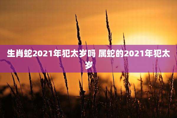 生肖蛇2021年犯太岁吗 属蛇的2021年犯太岁