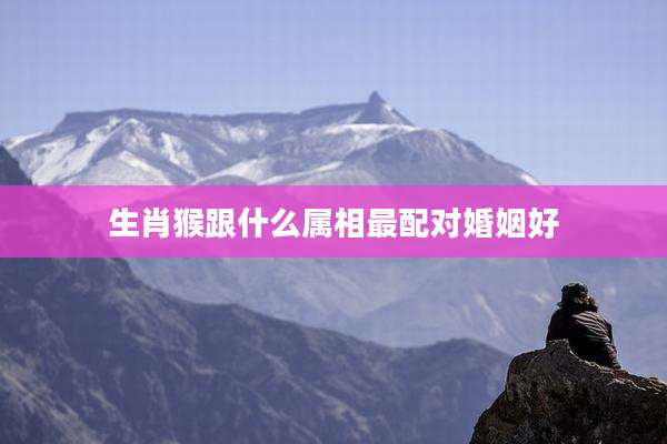 生肖猴跟什么属相最配对婚姻好