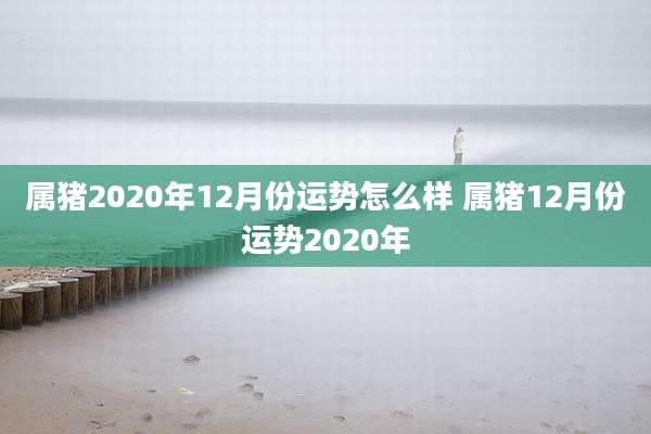 属猪2020年12月份运势怎么样 属猪12月份运势2020年