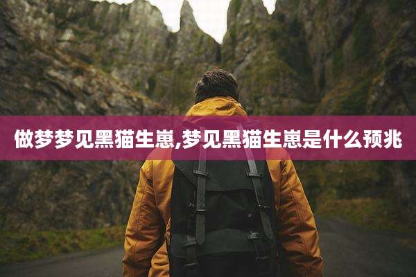 做梦梦见黑猫生崽,梦见黑猫生崽是什么预兆