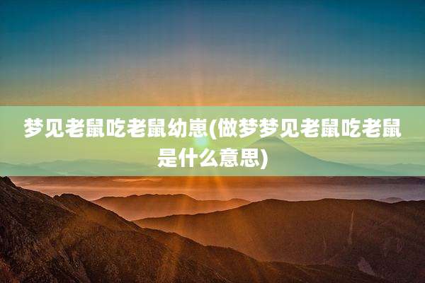 梦见老鼠吃老鼠幼崽(做梦梦见老鼠吃老鼠是什么意思)