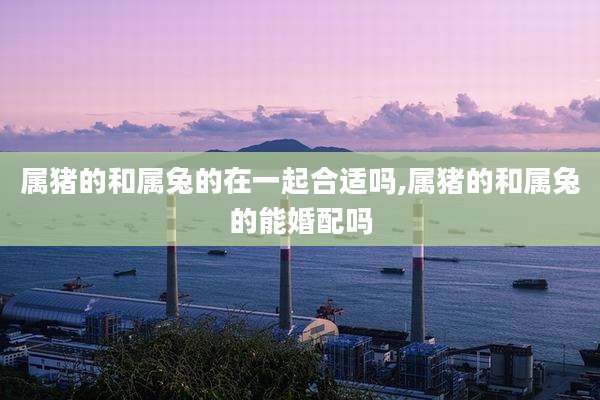 属猪的和属兔的在一起合适吗,属猪的和属兔的能婚配吗