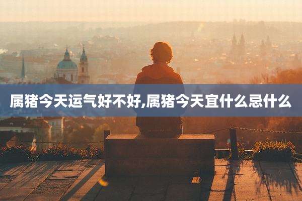 属猪今天运气好不好,属猪今天宜什么忌什么
