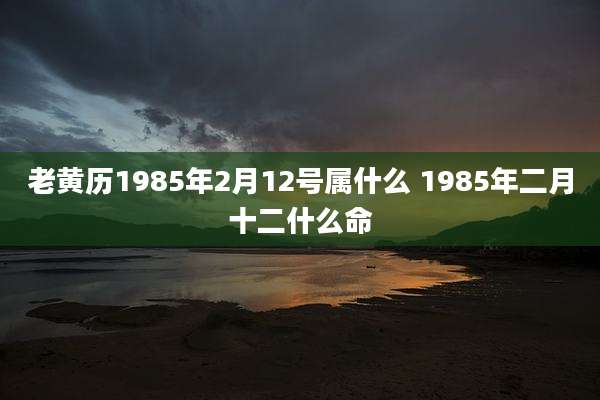 老黄历1985年2月12号属什么 1985年二月十二什么命