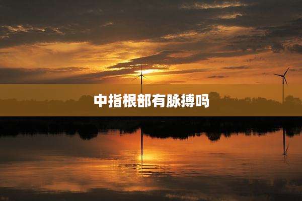 中指根部有脉搏吗