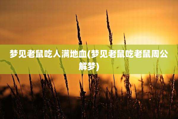 梦见老鼠吃人满地血(梦见老鼠吃老鼠周公解梦)
