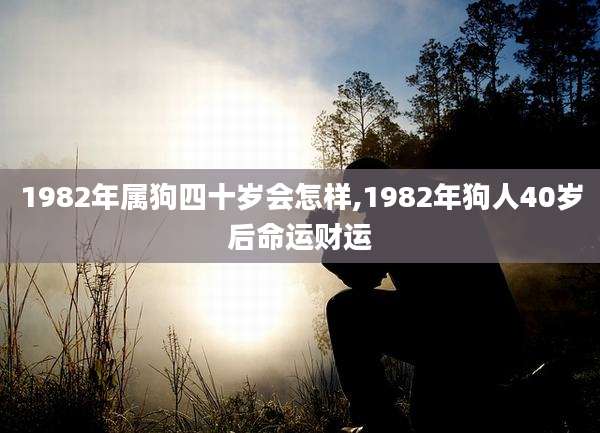 1982年属狗四十岁会怎样,1982年狗人40岁后命运财运