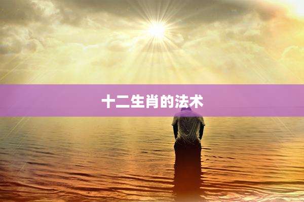 十二生肖的法术
