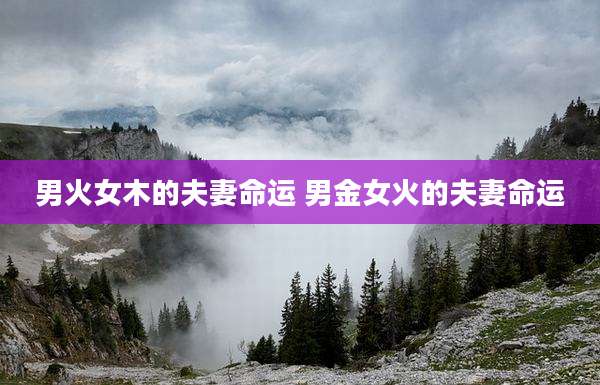 男火女木的夫妻命运 男金女火的夫妻命运