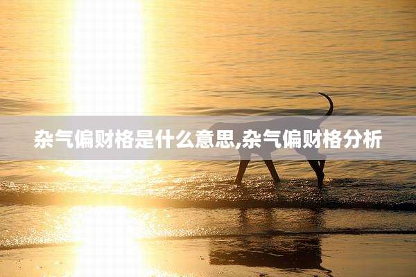 杂气偏财格是什么意思,杂气偏财格分析
