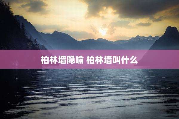 柏林墙隐喻 柏林墙叫什么