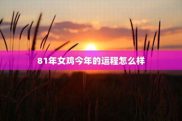 81年女鸡今年的运程怎么样