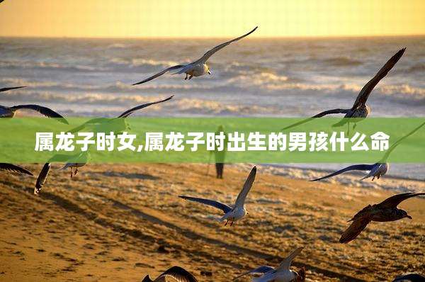 属龙子时女,属龙子时出生的男孩什么命