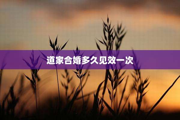 道家合婚多久见效一次