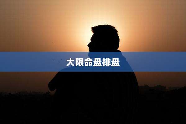 大限命盘排盘