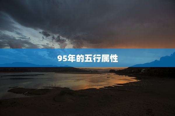 95年的五行属性