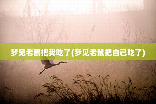 梦见老鼠把我吃了(梦见老鼠把自己吃了)