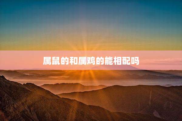 属鼠的和属鸡的能相配吗