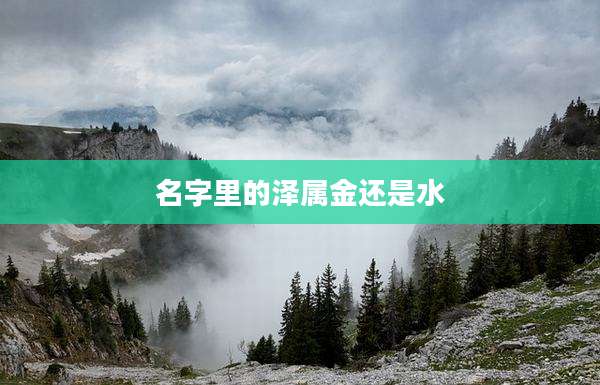 名字里的泽属金还是水