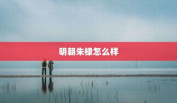 明朝朱棣怎么样