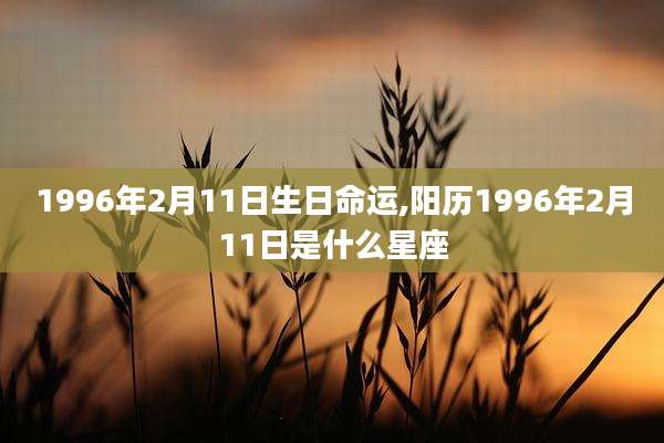 1996年2月11日生日命运,阳历1996年2月11日是什么星座