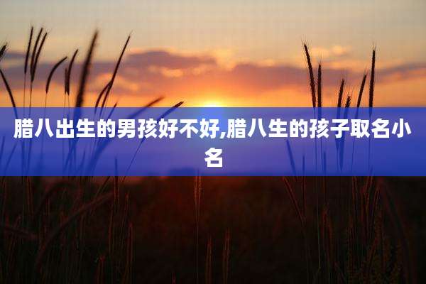 腊八出生的男孩好不好,腊八生的孩子取名小名