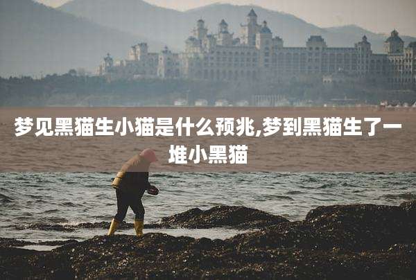 梦见黑猫生小猫是什么预兆,梦到黑猫生了一堆小黑猫