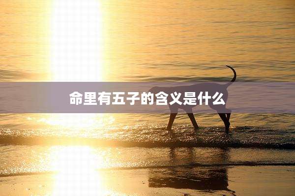 命里有五子的含义是什么