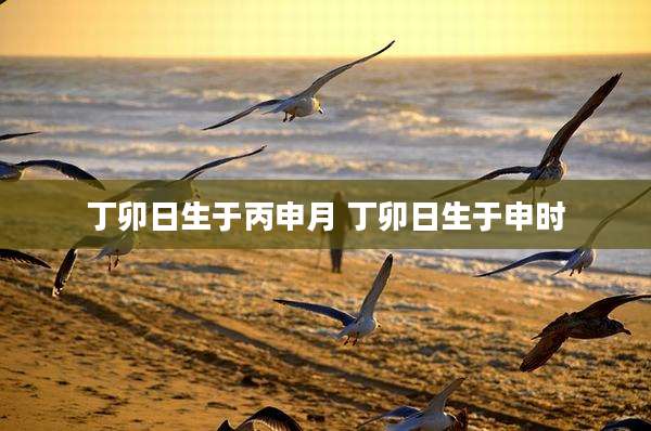 丁卯日生于丙申月 丁卯日生于申时