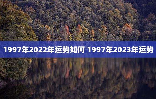 1997年2022年运势如何 1997年2023年运势