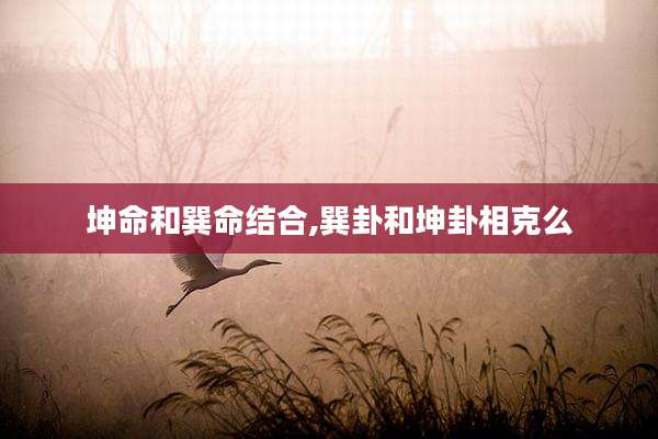坤命和巽命结合,巽卦和坤卦相克么
