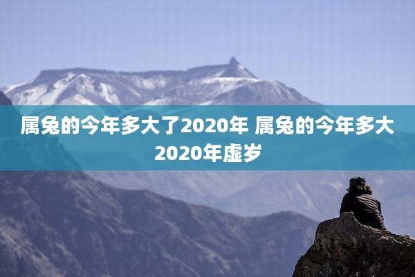 属兔的今年多大了2020年 属兔的今年多大2020年虚岁