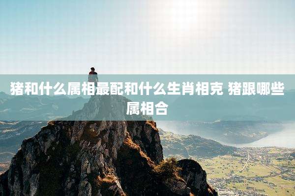 猪和什么属相最配和什么生肖相克 猪跟哪些属相合