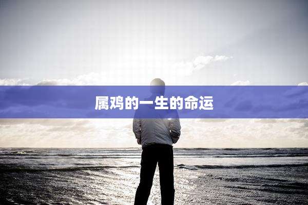 属鸡的一生的命运