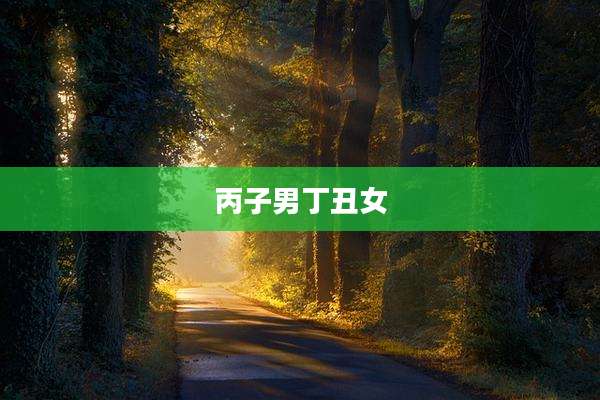 丙子男丁丑女