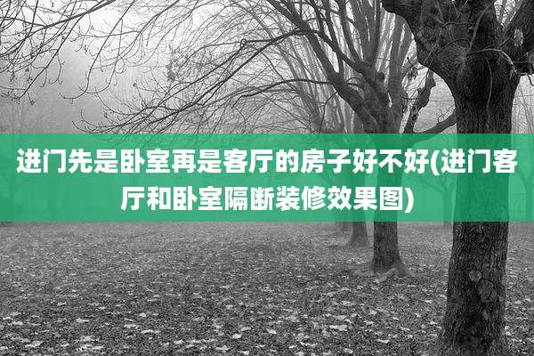 进门先是卧室再是客厅的房子好不好(进门客厅和卧室隔断装修效果图)