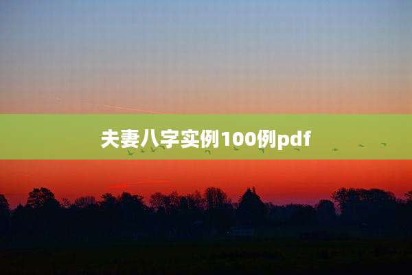 夫妻八字实例100例pdf