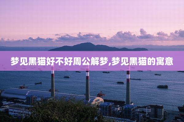 梦见黑猫好不好周公解梦,梦见黑猫的寓意
