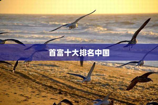 首富十大排名中国