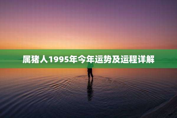 属猪人1995年今年运势及运程详解