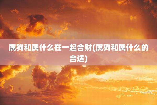 属狗和属什么在一起合财(属狗和属什么的合适)