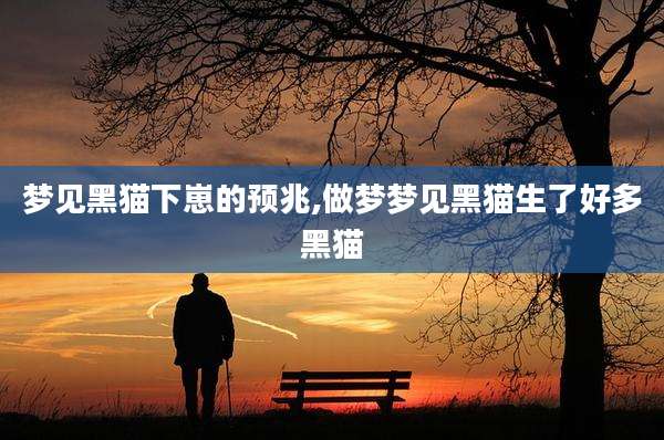 梦见黑猫下崽的预兆,做梦梦见黑猫生了好多黑猫