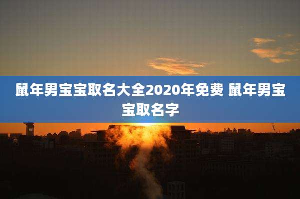 鼠年男宝宝取名大全2020年免费 鼠年男宝宝取名字