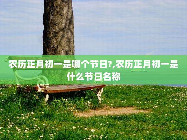 农历正月初一是哪个节日?,农历正月初一是什么节日名称
