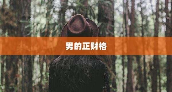 男的正财格