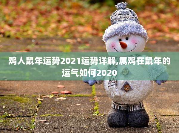 鸡人鼠年运势2021运势详解,属鸡在鼠年的运气如何2020