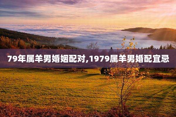 79年属羊男婚姻配对,1979属羊男婚配宜忌