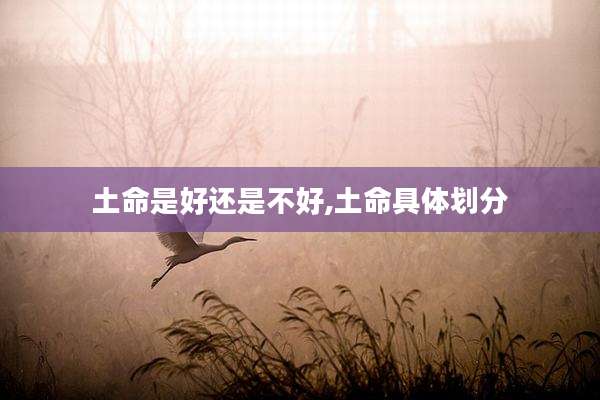 土命是好还是不好,土命具体划分