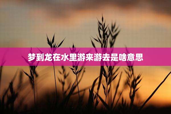 梦到龙在水里游来游去是啥意思