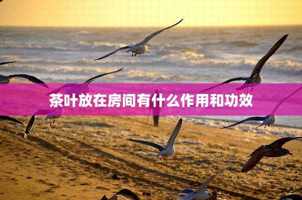 茶叶放在房间有什么作用和功效